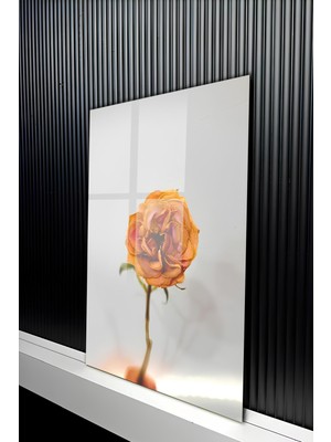 KutuTR Minimalist Turuncu Kurutulmuş Gül Tasarımlı Temperli Cam Tablo 50X70 cm 2d Uv Baskı - YCT263