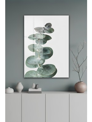 KutuTR Minimalist Okaliptüs Dalı Temalı Temperli Cam Tablo 50X70 cm 2d Uv Baskı - YCT123