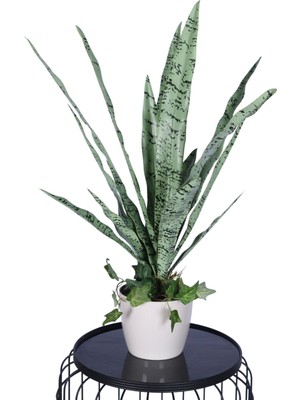 Yapay Çiçek Sitesi Lüks Yapay Kılıç Bitkisi Yeşil 70 cm