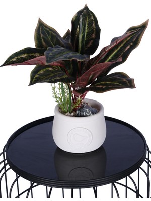 Yapay Çiçek Sitesi Beton Saksıda Yapay Dua Çiçeği 35 cm