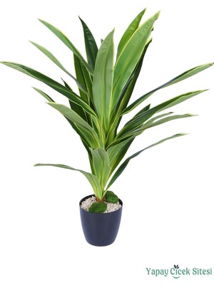 Yapay Çiçek Sitesi Plastik Saksıda Dracena Ağacı Limon Yeşili 105 cm