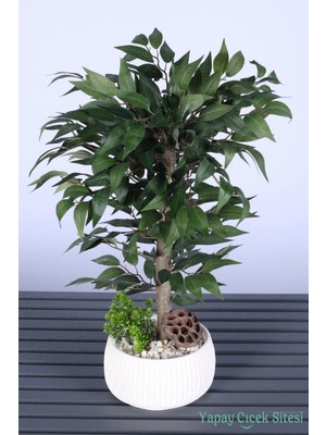 Yapay Çiçek Sitesi Yapay Premium Yapraklı Benjamin Ağacı Tanzimi 55 cm