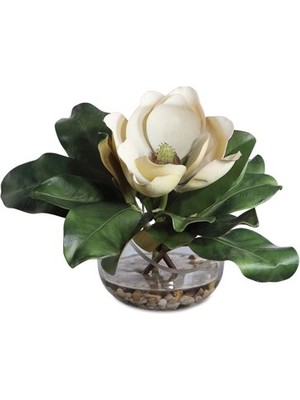 Laromita Decoration Vazoda Celıa Manolya