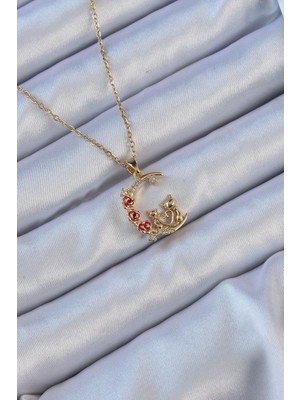 Tp Buğz 316L Çelik Zincir Altın Renk Kırmızı Gül Detay Kedi Figür Zirkon Taşlı Ay Kolye