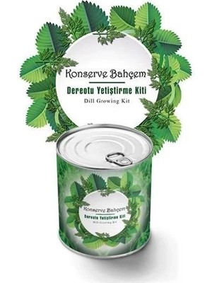 Tp Buğz Konserve Bahçem Evde Konservede Dereotu Yetiştirme Kiti Aparatı