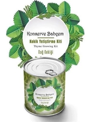 Tp Buğz Konserve Bahçem Evde Konservede Kekik Dağ Kekiği Yetiştirme Kiti