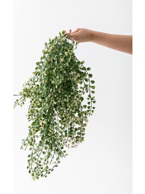 Güleç Yapay Çiçek Yapay Japon Şimşir Sarkan 80 cm 5 Dal Yeşil