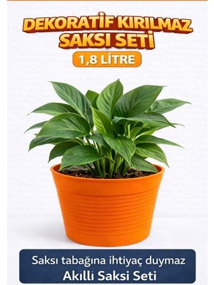 2'li Saksı Seti | 15 Pot Üretim Saksısı + 1.8 L Turuncu Kırılmaz Dekoratif Dış Saksı