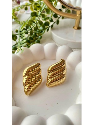 Stainless Steel Çelik Çizgili Kabuk Gold Küpe