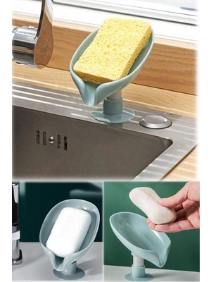 Hayat Store Vantuzlu Su Giderli Drenaj Katı Sabunluk- Süngerlik - Lisinya