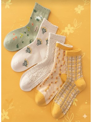 5 Çift Desenli Kadın Çorap