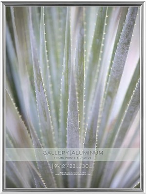Astera Gümüş Boyalı Alüminyum 23X30 cm Galerie Çerçeve