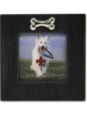 Astera Köpek Kemikli Çerçeve, 10X10 Cm, Siyah