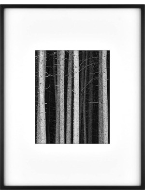 Astera Siyah 36X46 cm Galeri Çerçevesi Metal