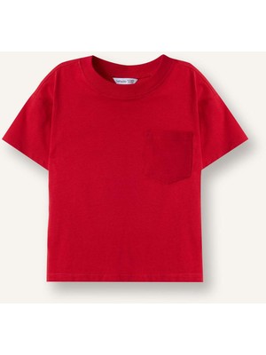 DeFacto Regular Fit Bisiklet Yaka Kısa Kollu Tişört Erkek Bebek B7005A526SM