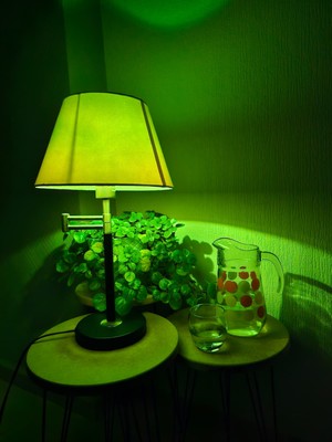 Vidafix Yeşil Işık Ampulü Dark Aesthetic Room Decor – Gece Lambası