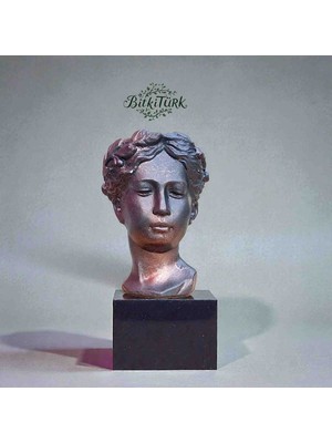 Antik Yunan Helen Beton Saksı 14CM×11CM /bitkitürk Tasarım