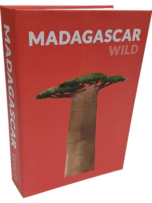 Biseystore Madagascar