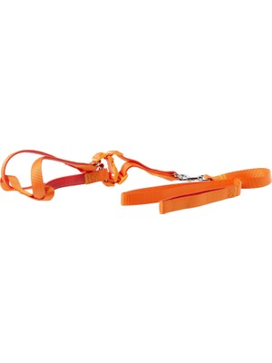 Hype Store Euro Dog Köpek Uzatma Tasması+Göğüs Tasması 25MM 120CM Turuncu
