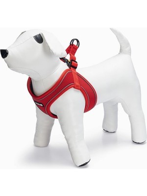 Hype Store Köpek Göğüs Tasması, Neopren, Kırmızı, S, 38-44CM