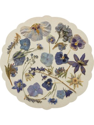 Hester & Cook Die-Cut Periwinkle Petals Placemat - 12 Sheets