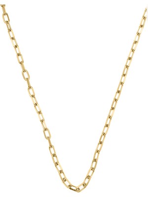 Altın Kaplama Çelik Forsa Zincir Kolye