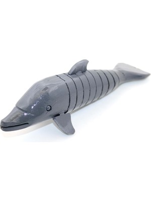 İlk El Grup Ieg™ Ahşap Sallanan Balık Model 2