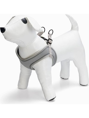 Hype Store Köpek Göğüs Tasması, Neopren, Yeşil, M, 41-46CM