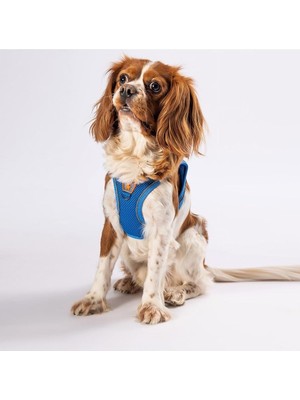 Hype Store Pawstar Mavi Air-Mesh Göğüs Tasması Kedi Köpek Göğüs Tasması Mavi Xl