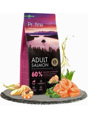 Hype Store 12KG Gluten Free Adult Salmon Glutensiz Somon Etli Yetişkin Köpek Maması