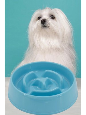 Hype Store Evcil Hayvan Yavaş Mama Yeme Kabı Yavaş Besleyici Kedi Köpek Mama Kabı Büyük Boy 775 Ml. 1450
