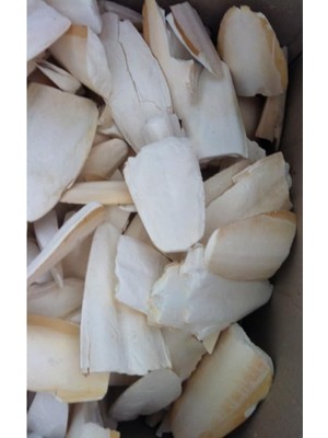 Hype Store Small Boy Kalamar Kemiği, 100 Gram