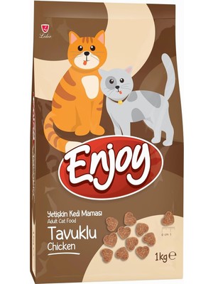 Hype Store Enjoy Kuru Kedi Maması, Tavuklu, Yetişkin, Keten Tohumu ile Omega 3 & 6 Katkısı, 1 kg