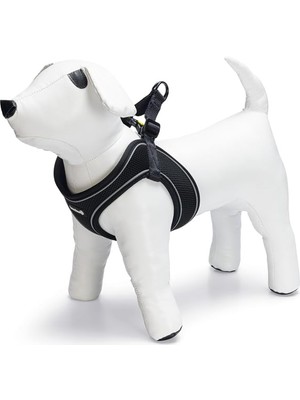 Hype Store Köpek Göğüs Tasması, Neopren, Siyah, Xs, 30-35CM