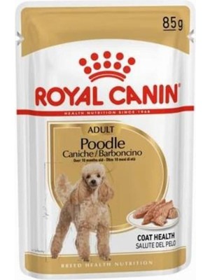 Hype Store Canin Poodle Yetişkin Köpek Yaş Maması 85 gr 12 Li