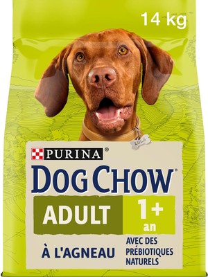 Hype Store Dog Chow-Yetişkin Kuzu Etli Köpek Maması 14 kg