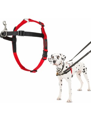 Hype Store Company Of Animals Köpekler Için Önden Kontrollü Göğüs Tasması, Orta Boy