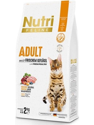 Hype Store Nutri Canin Adult Poultry Kümes Hayvanlı Yetişkin Kedi Maması 2 kg