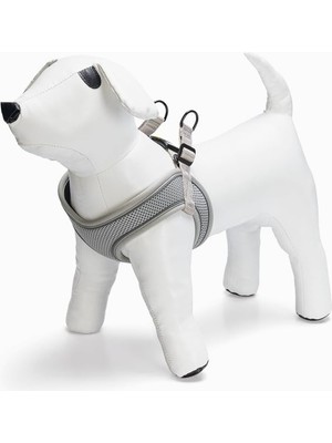 Hype Store Köpek Göğüs Tasması, Neopren, Yeşil, Xs, 30-35CM