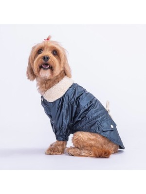 Hype Store Pawstar Blue Brillante Su Itici Küçük Irk Köpek Yağmurluğu (Xl)