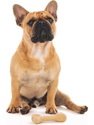 Hype Store M-Pets Greenbo Natural Köpekler Için Oyuncak (S)