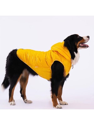 Hype Store Pawstar Railway Sarı Su Itici Orta-Büyük Irk Köpek Yelek Yağmurluk (3xl)