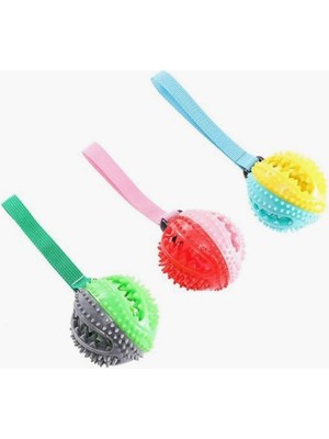 Hype Store Tutmalı Diş Kaşıyıcılı Köpek Oyun Topu 23 cm