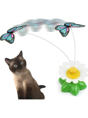 Hype Store Aee® Kendi Kendine Dönen Kelebek Interaktif Kedi Oyuncağı