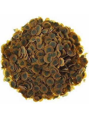 Hype Store Pro Algae 500GR - Kovadan Bölme