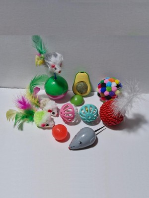 Hype Store 10 Parça Kedi Oyuncak Seti