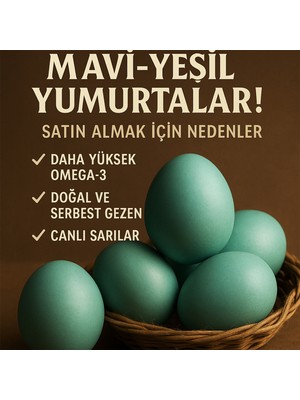 Sevsenka Zeka Yumurtası – 12’li Mavi-Yeşil Organik Doğal Yumurta