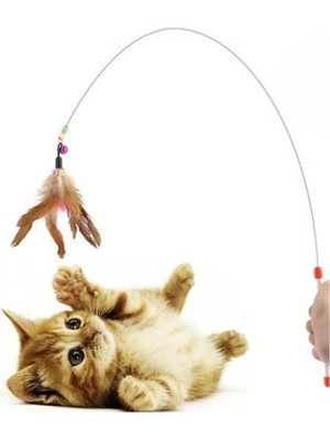 Hype Store Kedi Oltası Oyun Çıngıraklı Renkli Boncuklu ve Tüylü Kedi Oyun Oltası, 90 cm Uzunluk, Interaktif ve