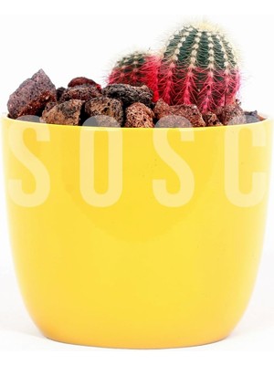 Hype Store Kırmızı Pomza Taşı 2-3 cm Volkanik Cürüf Ponza Kırığı 1 Lt