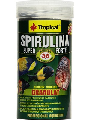 Hype Store Tropical Super Spirulina Forte Granül Yem,%36 Spirulina (Platensis) Oranlı, Tekli Paket (1 x 250 Ml)